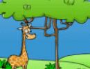 Giraffe Above